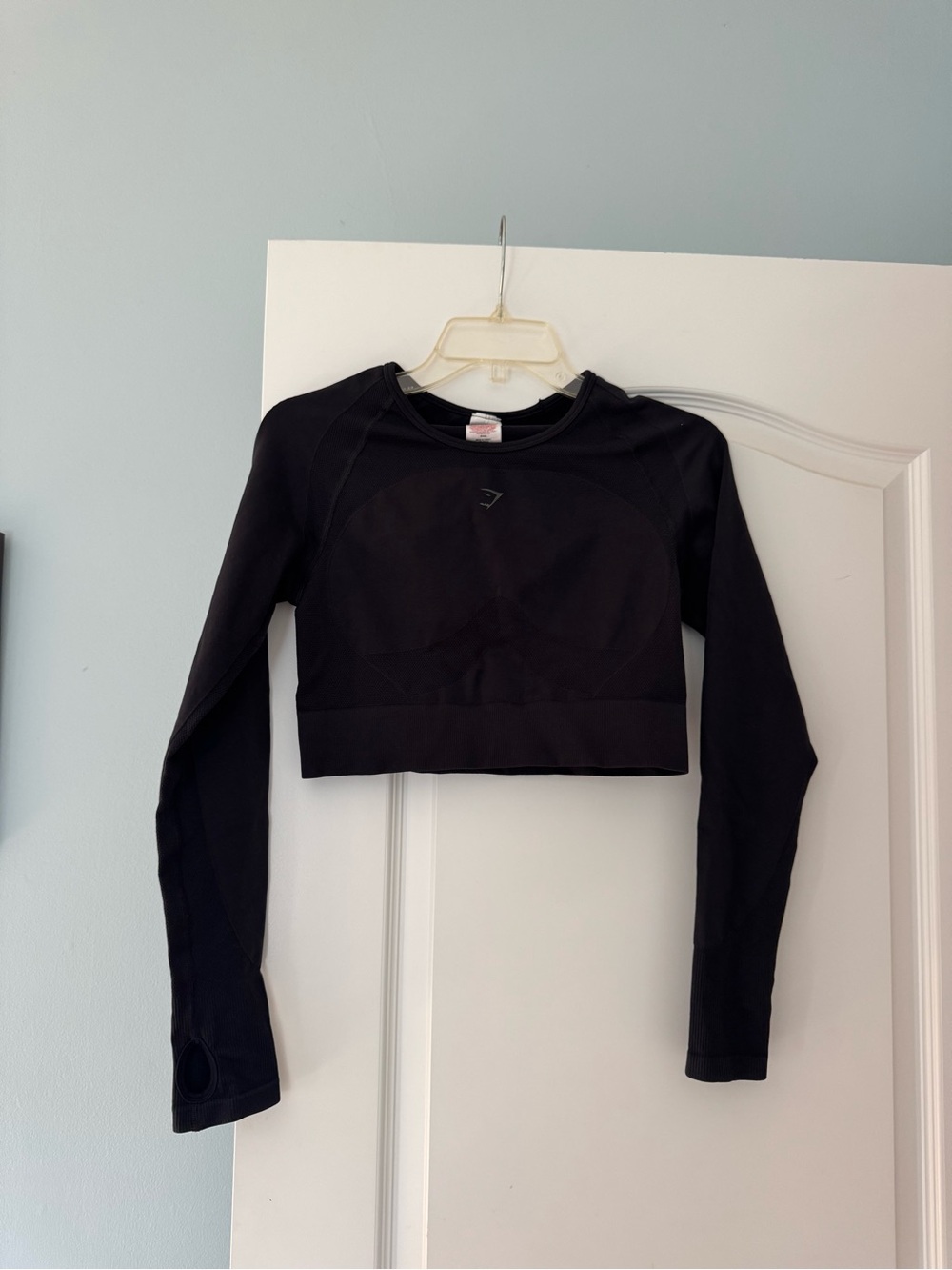 EUC Gymshark seamless long sleeve cropped workout top